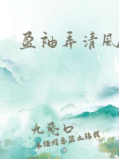 盈袖弄清风