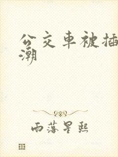 公交车被插入高潮