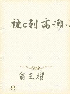被c到高潮小说