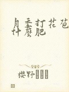 月季打花苞时施什么肥