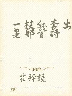 一枝红杏出墙来是那首诗