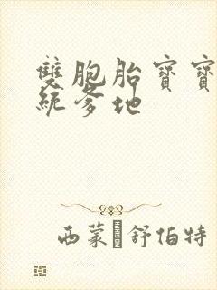 双胞胎宝宝的总统爹地