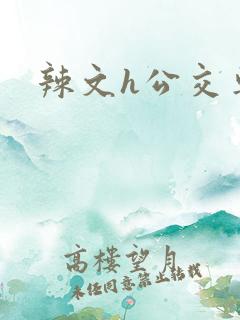 辣文h公交车