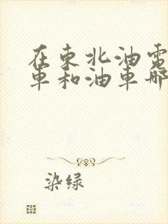 在东北油电混动车和油车哪个好些