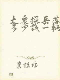 大众探岳落地价多少钱一辆