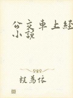 公交车上经典的小说