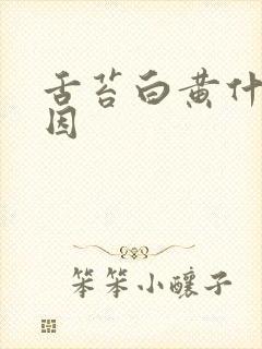 舌苔白黄什么原因