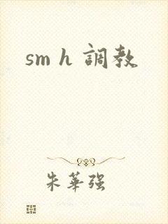 sm h 调教