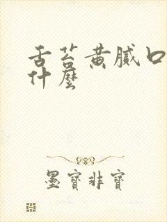 舌苔黄腻口干吃什么