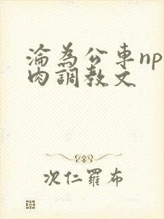 沦为公车np纯肉调教文