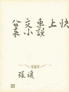 公交车上快插进来小说
