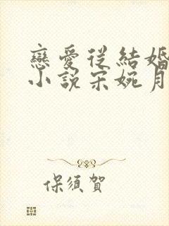 恋爱从结婚开始小说宋婉月
