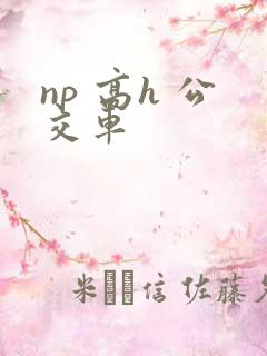 np 高h 公交车