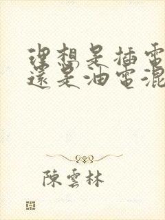 理想是插电混动还是油电混动