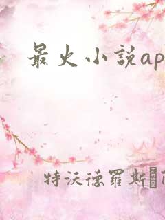 最火小说app