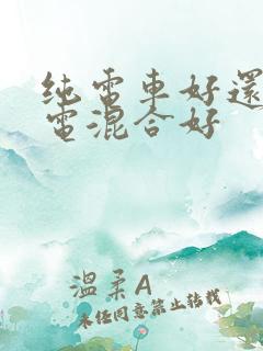 纯电车好还是油电混合好