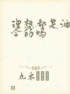 理想都是油电混合的吗