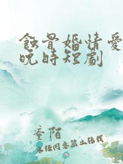 蚀骨婚情爱已琛晚时短剧