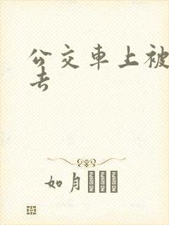 公交车上被插进去