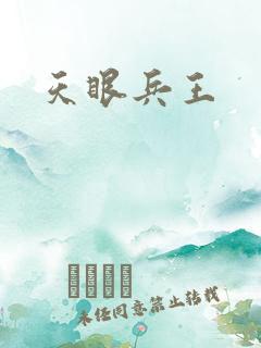 天眼兵王