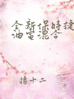 全新保时捷卡宴油电混合