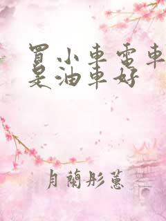 买小车电车好还是油车好