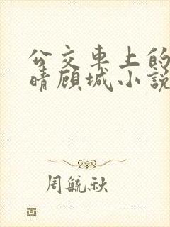 公交车上的诗请晴顾城小说阅读