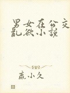 男女在公交车上乱欲小说