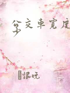 公交车宽度是多少