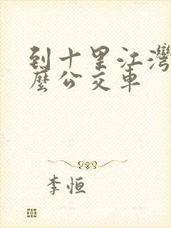 到十里江湾坐什么公交车