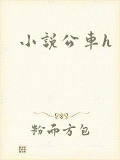 小说公车h