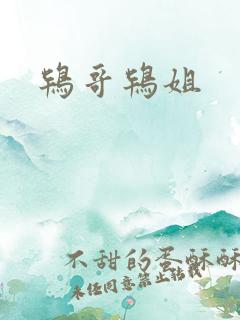 鸨哥鸨姐