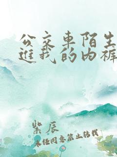 公交车陌生人伸进我的内裤里小说