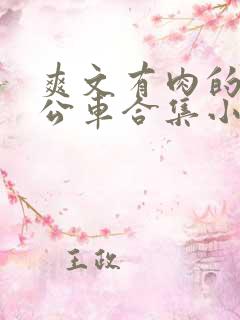 爽文有肉的短篇公车合集小说