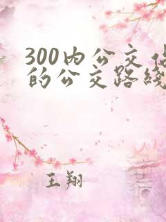 300内公交站的公交路线