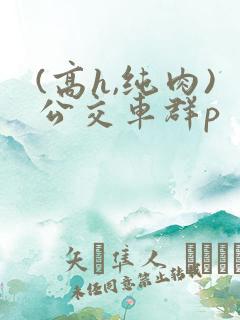 (高h,纯肉)公交车群p