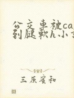 公交车被cao到腿软h小说