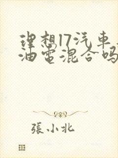 理想l7汽车是油电混合吗