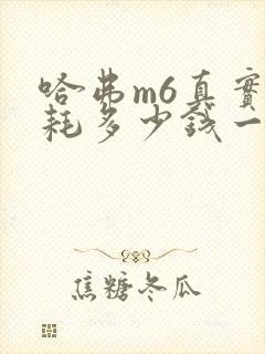 哈弗m6真实油耗多少钱一公里
