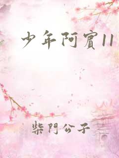 少年阿宾11