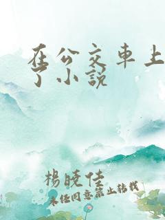 在公交车上被上了小说
