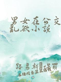 男女在公交车上乱欲小说