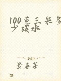 100克玉米多少碳水