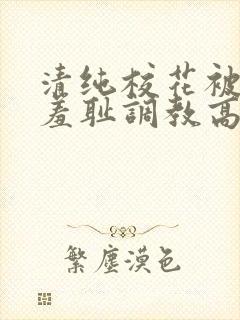清纯校花被民工羞耻调教高h