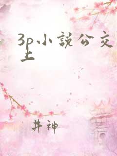 3p小说公交车上
