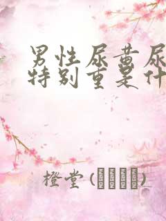 男性尿黄尿骚味特别重是什么原因