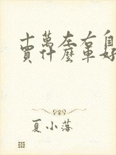 十万左右自动挡买什么车好