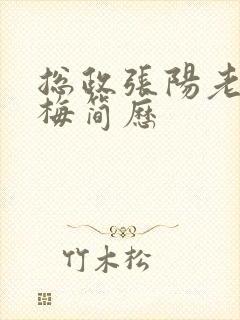 总政张阳老婆吕梅简历