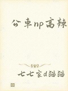 公车np高辣