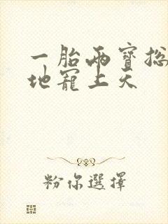 一胎两宝总裁爹地宠上天